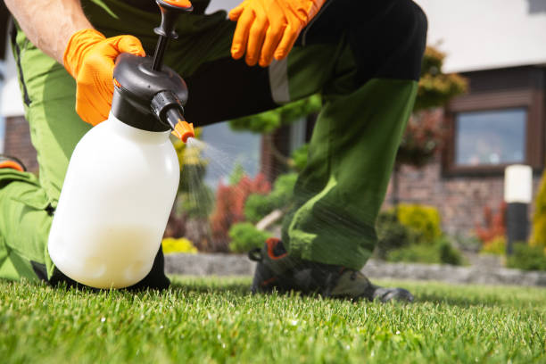 Best Cockroach Control Services  in Spring Hope, NC