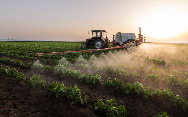 Best Pest Control for Homes  in Spring Hope, NC