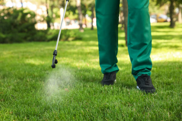 Best Exterminator Services  in Spring Hope, NC