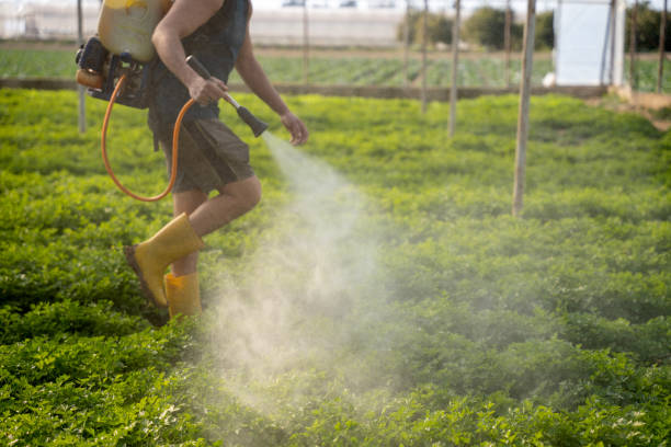 Best Pest Prevention Services  in Spring Hope, NC