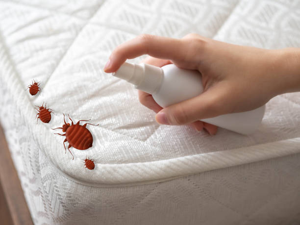 Best Affordable Pest Control Services  in Spring Hope, NC