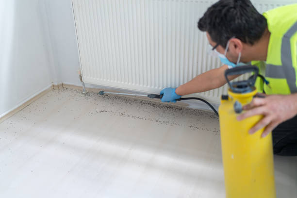 Reliable Spring Hope, NC Pest Control Solutions