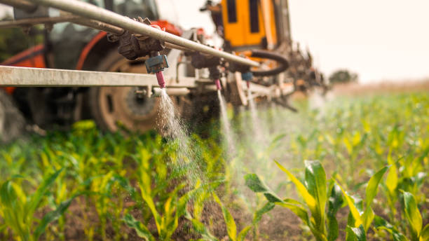 Best Best Pest Control Companies  in Spring Hope, NC