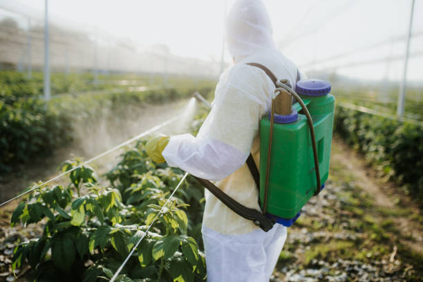 Best Pest Prevention Services  in Spring Hope, NC